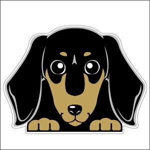 車 シール ステッカー 耐水 ミニチュアダックスフンド スムース 黒 フェイスステッカーBIG ペット 犬 転写シール ペット 車用 キズ隠し 傷隠し【名入れ対象外】
