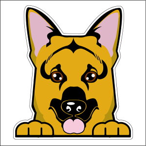 車 シール ステッカー 耐水 シェパード フェイスステッカーBIG ペット 犬 転写シール ペット 車用 キズ隠し 傷隠し【名入れ対象外】