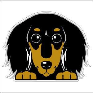 車 シール ステッカー 耐水 ミニチュアダックスフンド ロング 黒 フェイスステッカーBIG ペット 犬 転写シール ペット 車用 キズ隠し 傷隠し【名入れ対象外】