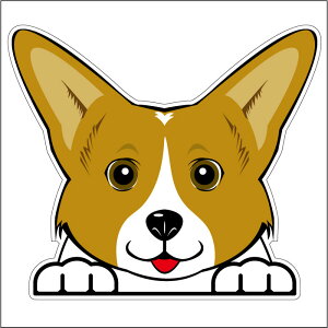 車 シール ステッカー 耐水 コーギー フェイスステッカーBIG ペット 犬 転写シール ペット 車用 キズ隠し 傷隠し【名入れ対象外】