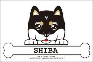  XebJ[ tFCXXebJ[ 10cm×15cm ̂ Č  VGbgXebJ[ ԃXebJ[ ]ʃXebJ[ pi ObY G Mtg v[g ybg ԗp LYB 