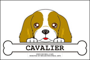  XebJ[ tFCXXebJ[ 10cm×15cm ̂ LoA VGbgXebJ[ ԃXebJ[ ]ʃXebJ[ pi ObY G Mtg v[g ybg ԗp LY