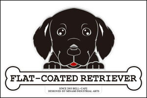  XebJ[ tFCXXebJ[ 10cm×15cm ̂ tbgR[ebhgo[ ԃXebJ[ ]ʃXebJ[ pi ObY G Mtg v[g ybg ԗp LYB