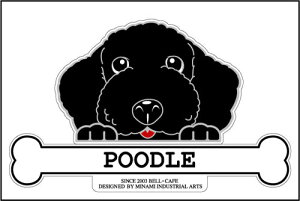  XebJ[ tFCXXebJ[ 10cm×15cm ̂ v[h  VGbgXebJ[ ԃXebJ[ ]ʃXebJ[ pi ObY G Mtg v[g ybg ԗp LY