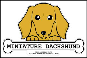  XebJ[ tFCXXebJ[ 10cm×15cm ̂ ~j`A_bNXth X[X  VGbgXebJ[ ԃXebJ[ ]ʃXebJ[ pi ObY G Mtg v