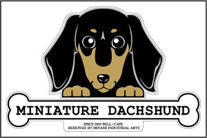  XebJ[ tFCXXebJ[ 10cm×15cm ̂ ~j`A_bNXth X[X  VGbgXebJ[ ԃXebJ[ ]ʃXebJ[ pi ObY G Mtg v