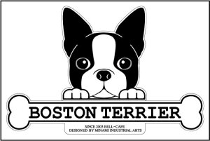  XebJ[ tFCXXebJ[ 10cm×15cm ̂ {XgeA tFCXXebJ[ VGbgXebJ[ ԃXebJ[ ]ʃXebJ[ pi ObY G Mtg v