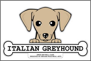  XebJ[ tFCXXebJ[ 10cm×15cm ̂ C^AO[nEh tFCXXebJ[ ԃXebJ[ ]ʃXebJ[ pi ObY G Mtg v[g y