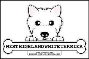  XebJ[ tFCXXebJ[ 10cm×15cm ̂ EFXeB tFCXXebJ[ ԃXebJ[ ]ʃXebJ[ pi ObY G Mtg v[g ybg ԗp LY