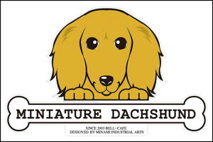  XebJ[ tFCXXebJ[ 10cm×15cm ̂ ~j`A_bNXth O ԃXebJ[ ]ʃXebJ[ pi ObY G Mtg v[g ybg ԗp LY