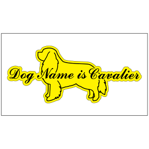   XebJ[ ]ʃV[  LoA ISVGbgXebJ[ XebJ[ Mtg v[g ybg ԗp LYB B