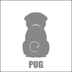   XebJ[  pO  13cm Vo[ Vbg ԑ obNhAKX AKX tgKX TChKX hAKX ̎q ybg J[XebJ[ ԗp LYB