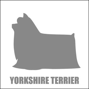   XebJ[  [NVeAh O  13cm Vo[ Vbg ԑ obNhAKX AKX tgKX TChKX hAKX ̎q ybg J[Xe