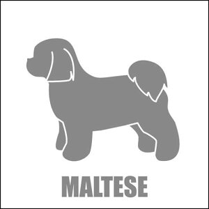   XebJ[  }`[Y  13cm Vo[ Vbg ԑ obNhAKX AKX tgKX TChKX hAKX ̎q ybg J[XebJ[ ԗp L