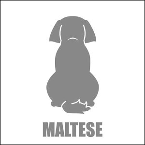   XebJ[  }`[Y  13cm Vo[ Vbg ԑ obNhAKX AKX tgKX TChKX hAKX ̎q ybg J[XebJ[ ԗp 