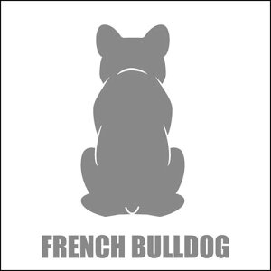   XebJ[  t`u  13cm Vo[ Vbg ԑ obNhAKX AKX tgKX TChKX hAKX ̎q ybg J[XebJ[ ԗp