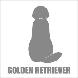   XebJ[  S[fgo[  13cm Vo[ Vbg ԑ obNhAKX AKX tgKX TChKX hAKX ̎q ybg J[Xeb