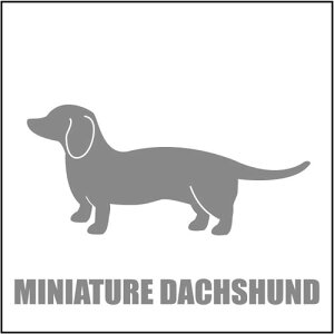  XebJ[  ~j`A_bNXth X[X  13cm Vo[ Vbg ԑ obNhAKX AKX tgKX TChKX hAKX ̎q ybg J[Xe