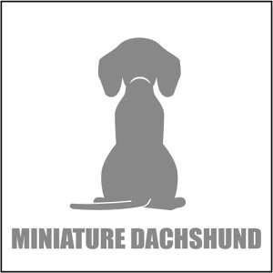   XebJ[  ~j`A_bNXth X[X  13cm Vo[ Vbg ԑ obNhAKX AKX tgKX TChKX hAKX ̎q yb