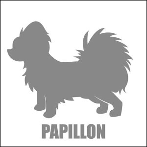   XebJ[  ps  13cm Vo[ Vbg ԑ obNhAKX AKX tgKX TChKX hAKX ̎q ybg J[XebJ[ ԗp LY