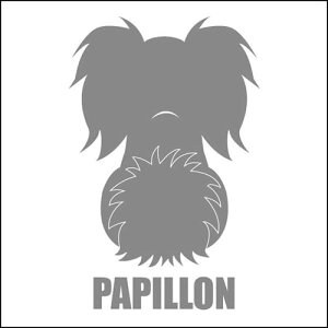   XebJ[  ps  13cm Vo[ Vbg ԑ obNhAKX AKX tgKX TChKX hAKX ̎q ybg J[XebJ[ ԗp L