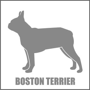   XebJ[  {XgeA  13cm Vo[ Vbg ԑ obNhAKX AKX tgKX TChKX hAKX ̎q ybg J[XebJ[ ԗp