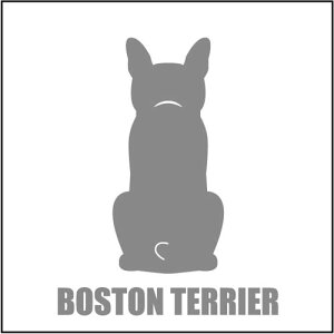   XebJ[  {XgeA  13cm Vo[ Vbg ԑ obNhAKX AKX tgKX TChKX hAKX ̎q ybg J[XebJ[ 