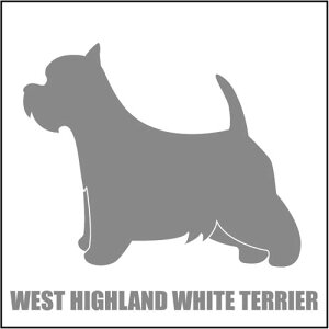   XebJ[  EFXeB  13cm Vo[ Vbg ԑ obNhAKX AKX tgKX TChKX hAKX ̎q ybg J[XebJ[ ԗp L