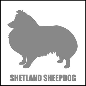   XebJ[  VFeB  13cm Vo[ Vbg ԑ obNhAKX AKX tgKX TChKX hAKX ̎q ybg J[XebJ[ ԗp L