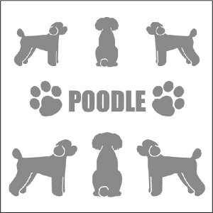   XebJ[  v[h Vbg ԑ obNhAKX AKX tgKX TChKX hAKX ̎q ybg J[XebJ[ ̓ pp P[X p\R 