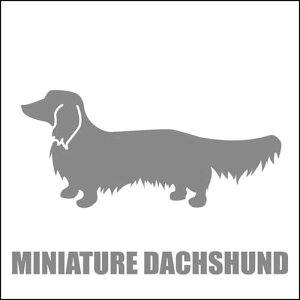  XebJ[  ~j`A_bNXth O  13cm Vo[ Vbg ԑ obNhAKX AKX tgKX TChKX hAKX ̎q ybg J[Xeb