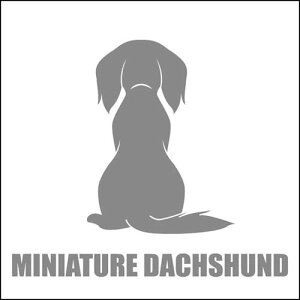  XebJ[  ~j`A_bNXth O  13cm Vo[ Vbg ԑ obNhAKX AKX tgKX TChKX hAKX ̎q ybg J[Xe