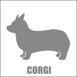   XebJ[  R[M[  13cm Vo[ Vbg ԑ obNhAKX AKX tgKX TChKX hAKX ̎q ybg J[XebJ[ ԗp LY