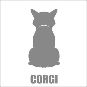   XebJ[  R[M[  13cm Vo[ Vbg ԑ obNhAKX AKX tgKX TChKX hAKX ̎q ybg J[XebJ[ ԗp L