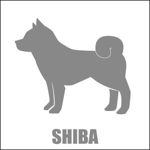   XebJ[  VoP Č  13cm Vo[ Vbg ԑ obNhAKX AKX tgKX TChKX hAKX ̎q ybg J[XebJ[ ԗp 