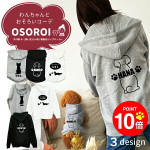 y10{|Cg 12/4 20:00`zmn񂿂Ƃ낢R[fuOSOROIv t[fB[Wbvp[J[ 킪Iׂ VGbg  N ƃyAbN 2_Zbg 