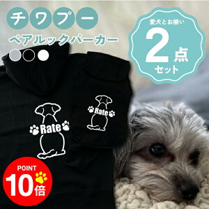 y10{|Cg 12/4 20:00`zmn`v[ 񂿂Ƃ낢R[fuOSOROIv t[fB[Wbvp[J[ Gu J[V ML  N ƃyAbN 2_Zbg 