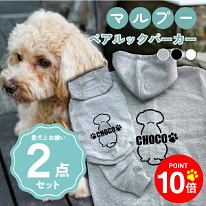 y10{|Cg 12/4 20:00`zmn}v[ 񂿂Ƃ낢R[fuOSOROIv t[fB[Wbvp[J[ Gu J[V ML  N ƃyAbN 2_Zbg 