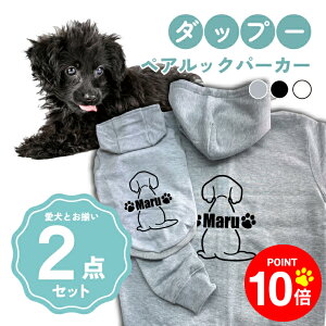 y10{|Cg 12/4 20:00`zmn_bv[ 񂿂Ƃ낢R[fuOSOROIv t[fB[Wbvp[J[ Gu J[V ML  N ƃyAbN 2_Zbg 