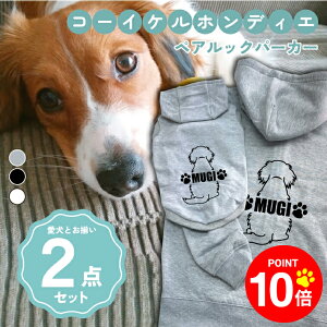 y10{|Cg 12/4 20:00`zmnR[CPzfBG 񂿂Ƃ낢R[fuOSOROIv t[fB[Wbvp[J[ Gu J[V ML  N ƃyAbN 