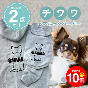 y10{|Cg 12/4 20:00`zmn` 񂿂Ƃ낢R[fuOSOROIv t[fB[Wbvp[J[ Gu J[V ML  N ƃyAbN 2_Zbg 