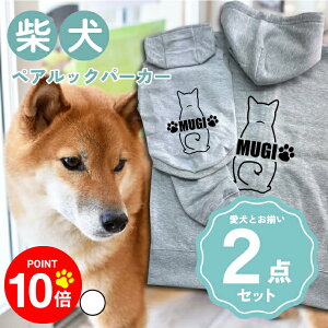 y10{|Cg 12/4 20:00`zmnČ 񂿂Ƃ낢R[fuOSOROIv t[fB[Wbvp[J[ Gu J[V ML  N ƃyAbN 2_Zbg ̕ 