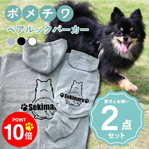 y10{|Cg 12/4 20:00`zmn|` 񂿂Ƃ낢R[fuOSOROIv t[fB[Wbvp[J[ Gu J[V ML  N ƃyAbN 2_Zbg 