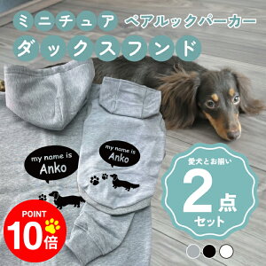 y10{|Cg 12/4 20:00`zmn~j`AE_bNXth 񂿂Ƃ낢R[fuOSOROIv t[fB[Wbvp[J[ Gu J[V ML  N ƃyA