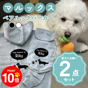 y10{|Cg 12/4 20:00`zmn}bNX 񂿂Ƃ낢R[fuOSOROIv t[fB[Wbvp[J[ Gu J[V ML  N ƃyAbN 2_Zbg 