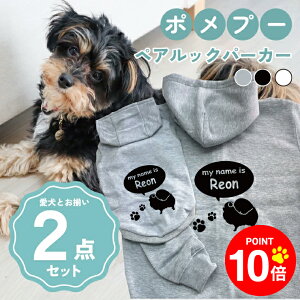 y10{|Cg 12/4 20:00`zmn|v[ 񂿂Ƃ낢R[fuOSOROIv t[fB[Wbvp[J[ Gu J[V ML  N ƃyAbN 2_Zbg 