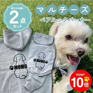 y10{|Cg 12/4 20:00`zmn}`[Y 񂿂Ƃ낢R[fuOSOROIv t[fB[Wbvp[J[ Gu J[V ML  N ƃyAbN 2_Zbg 