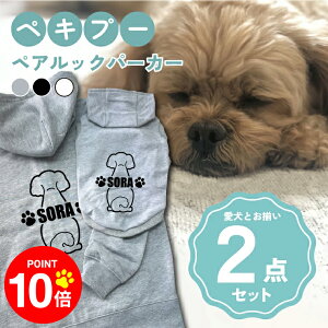 y10{|Cg 12/4 20:00`zmnyLv[ 񂿂Ƃ낢R[fuOSOROIv t[fB[Wbvp[J[ Gu J[V ML  N ƃyAbN 2_Zbg 