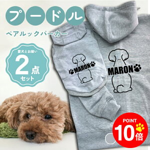 y10{|Cg 12/4 20:00`zmnv[h 񂿂Ƃ낢R[fuOSOROIv t[fB[Wbvp[J[ Gu J[V ML  N ƃyAbN 2_Zbg 