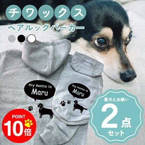 y10{|Cg 12/4 20:00`zmn`bNX 񂿂Ƃ낢R[fuOSOROIv t[fB[Wbvp[J[ Gu J[V ML  N ƃyAbN 2_Zbg 